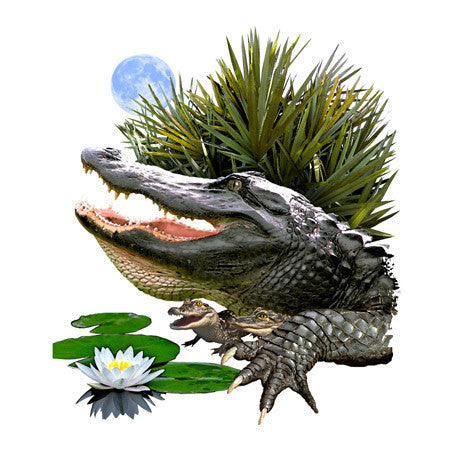 Alligator in a Marsh
