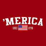 American Flag - V Neck Trim