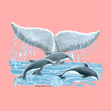3 Dolphins
