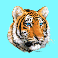 Tiger Face 2