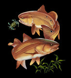 Fish Trio