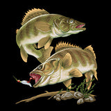 Fish Trio
