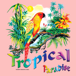 Colorful Parrot