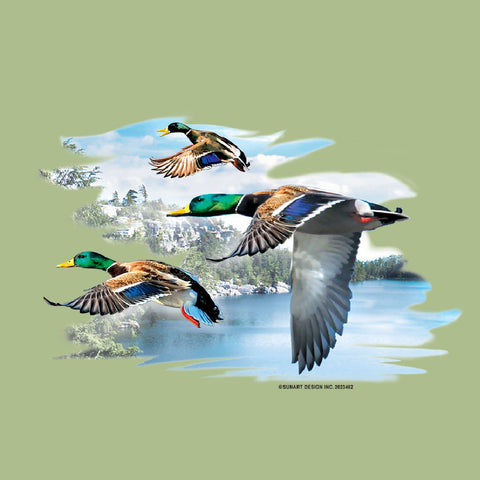 Flying Ducks