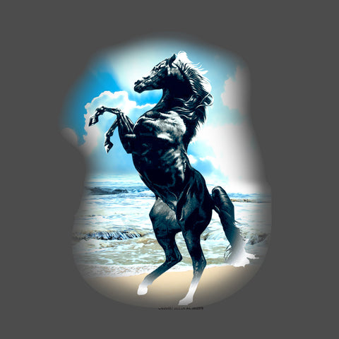 Horse on a Beach