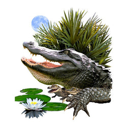 Alligator in a Marsh