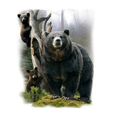 Angry Bear