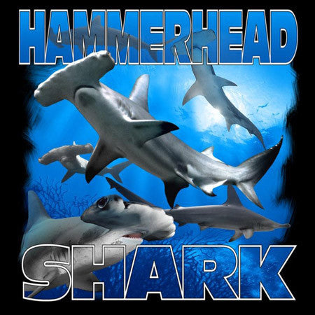 Hammerhead Shark