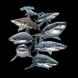 School of Sharks