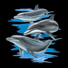 Gentle Dolphins