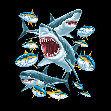 Hunting Sharks