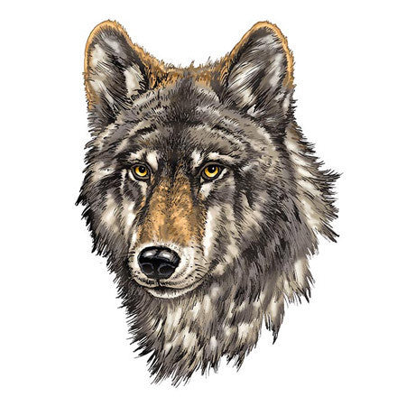Wolf Face 1