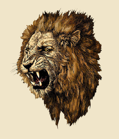 Angry Lion