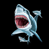 Hungry Sharks - Blue
