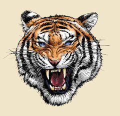 Angry Tiger