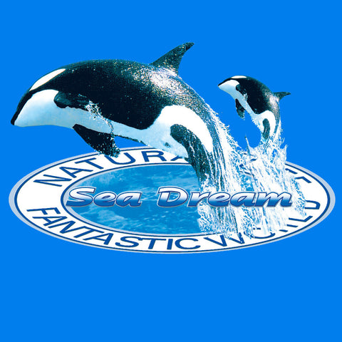 Sea Dream Killer Whales