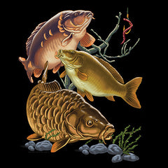 Carp Fish Trio