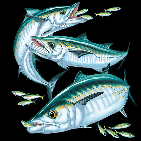 Kingfish Trio