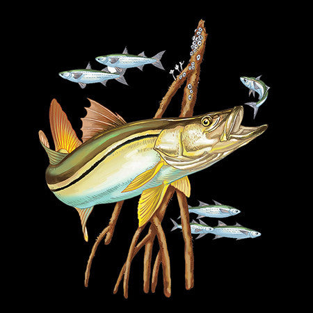 Snook Hunting